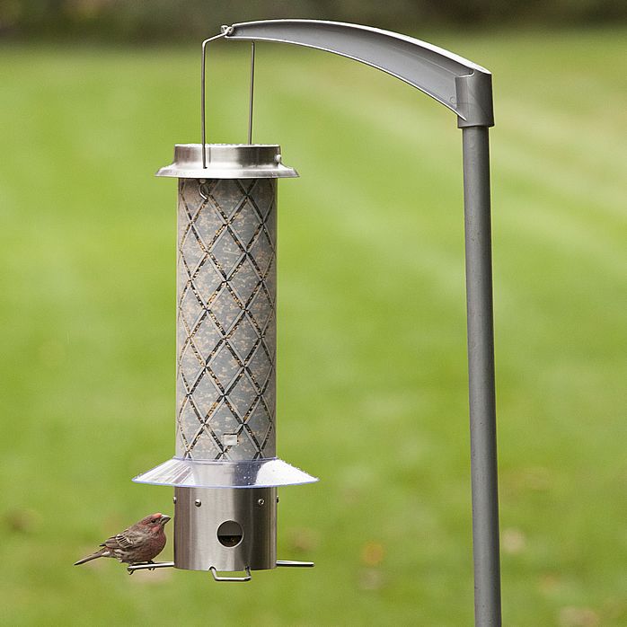 Perky Pet Frosted Squirrel Be Gone Feeder Sgb007 Www