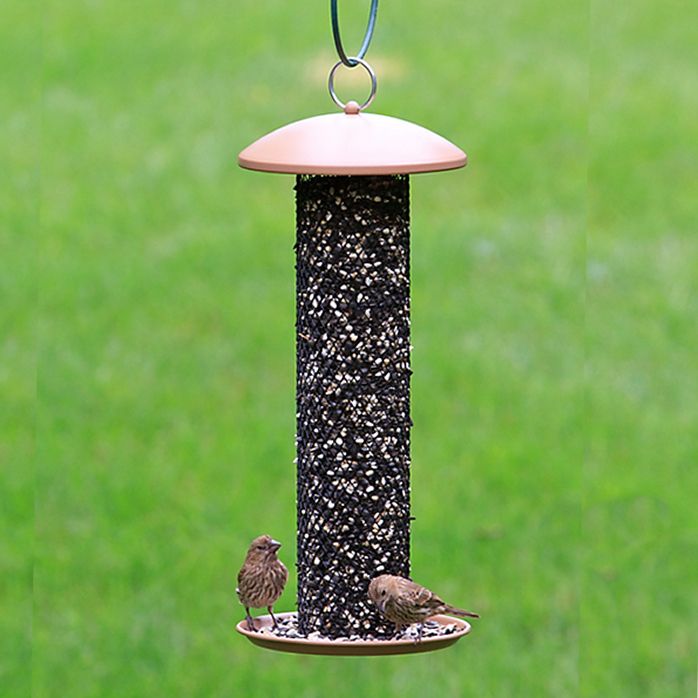 Perky Pet Straight Sided Sunflower Tube Feeder