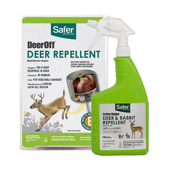 what repels deer