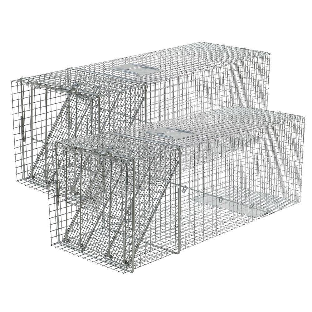 Extra Large 1-Door Trap 2-Pack | First Rate Traps for Raccoons and more