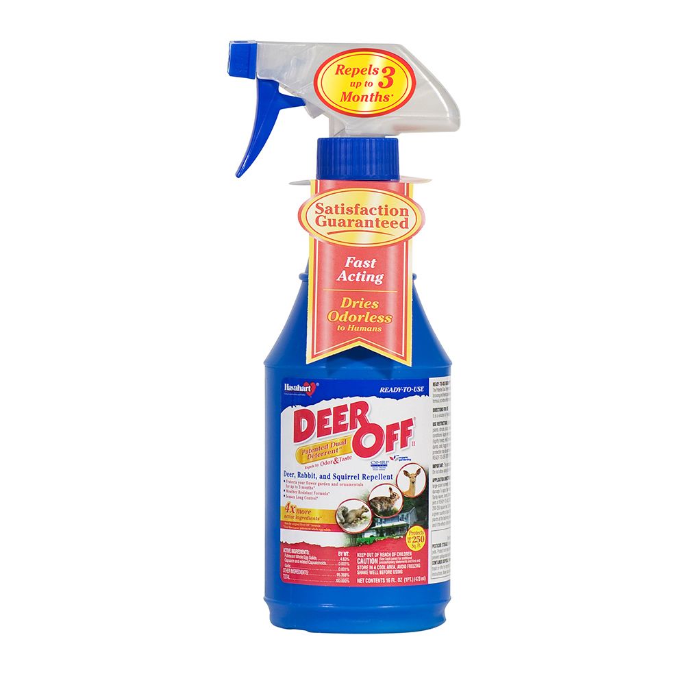 Deter Deer with 16 oz Deer Off 2 RTU Animal Spray Repellent