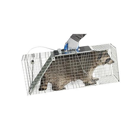 Havahart Live Animal Trap 32 In. X 10 In. X 12 In. Small Animals