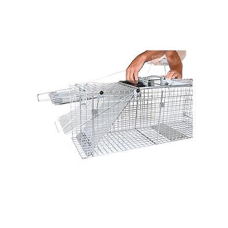 Havahart Easy Set Live Raccoon Trap, Gray, L