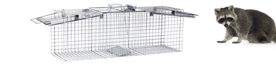 Large 2-Door Easy Set® Trap - 2 Pack | Havahart®