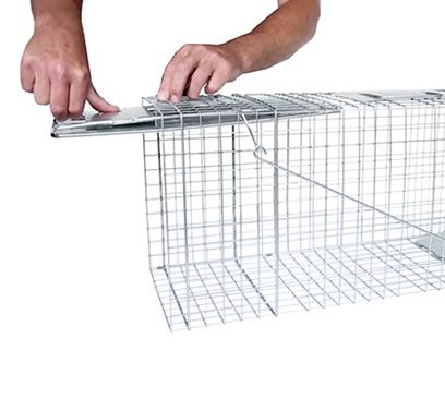 Large 1 Door Collapsible Live Animal Traps Havahart 1089