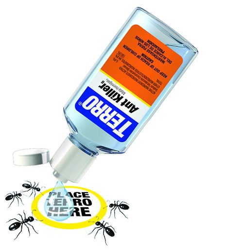 Terro Liquid Ant Killer Our 1 Best Selling Ant Poison