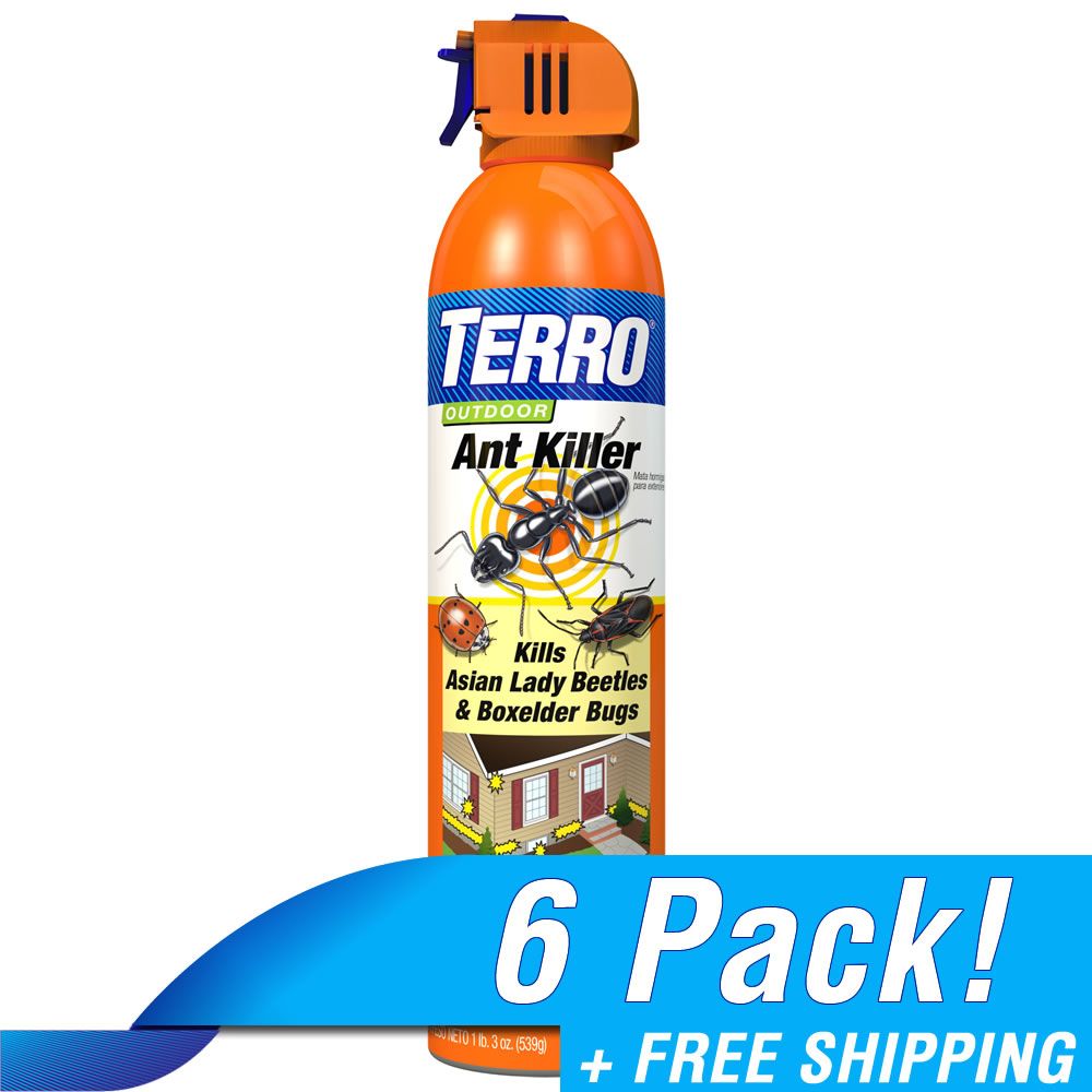 TERRO® Outdoor Ant Killer Spray 6 Pack Best Outdoor Ant Killer Spray