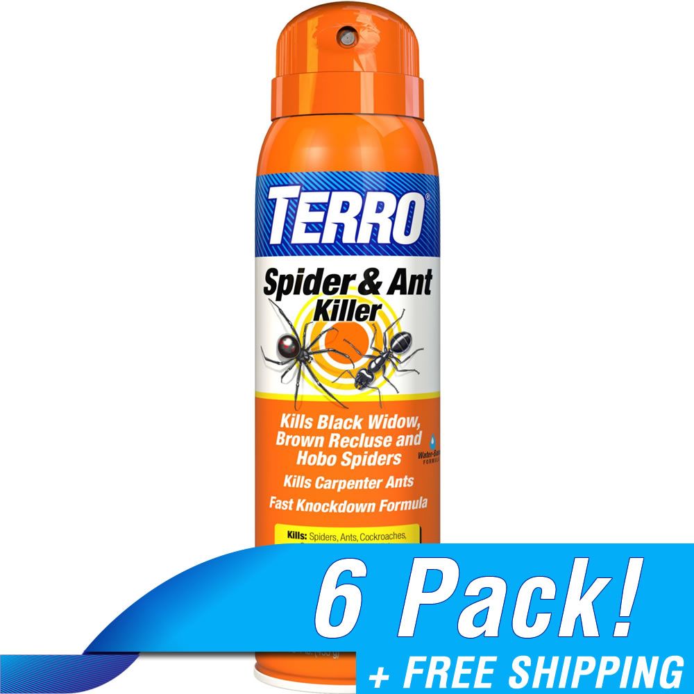 best spray for ants and spiders