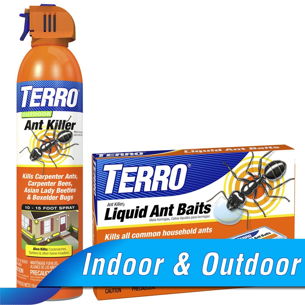 TERRO® Liquid Ant Bait - Outdoor Ant Killer 