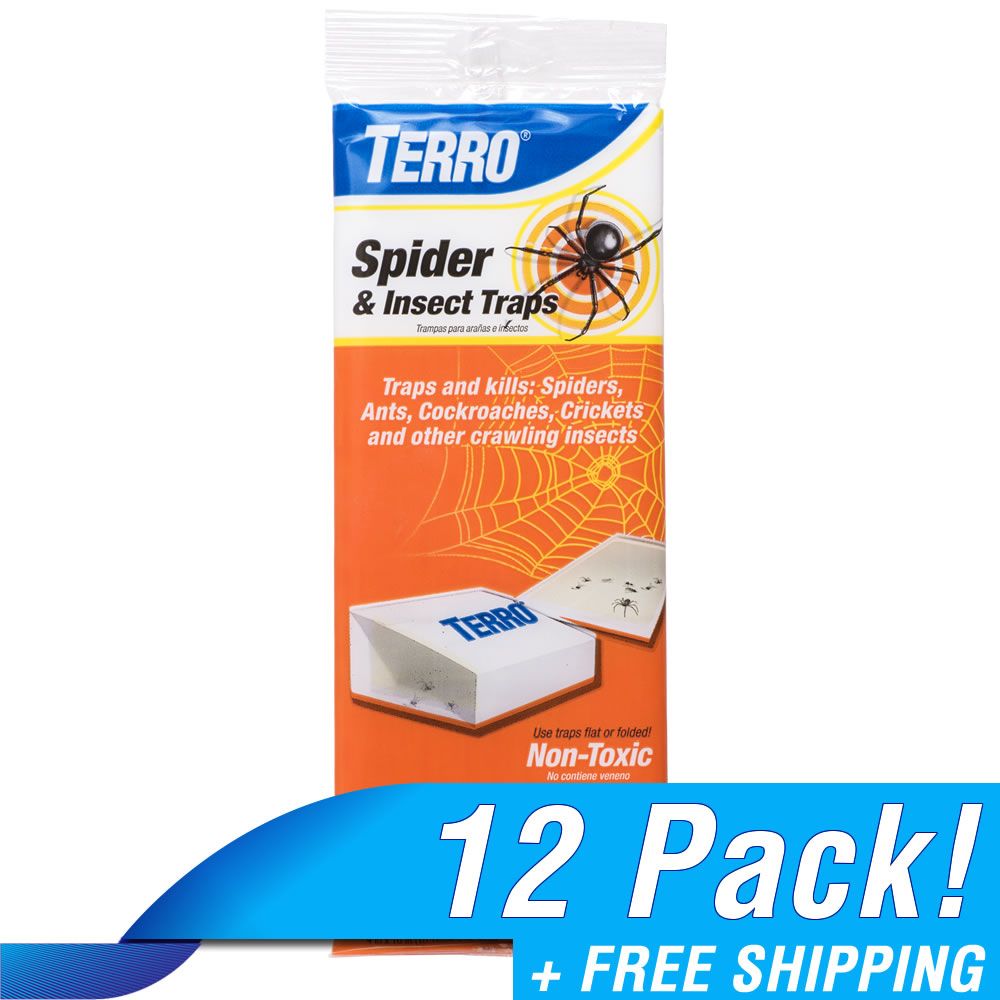 terro spider killer safe for pets