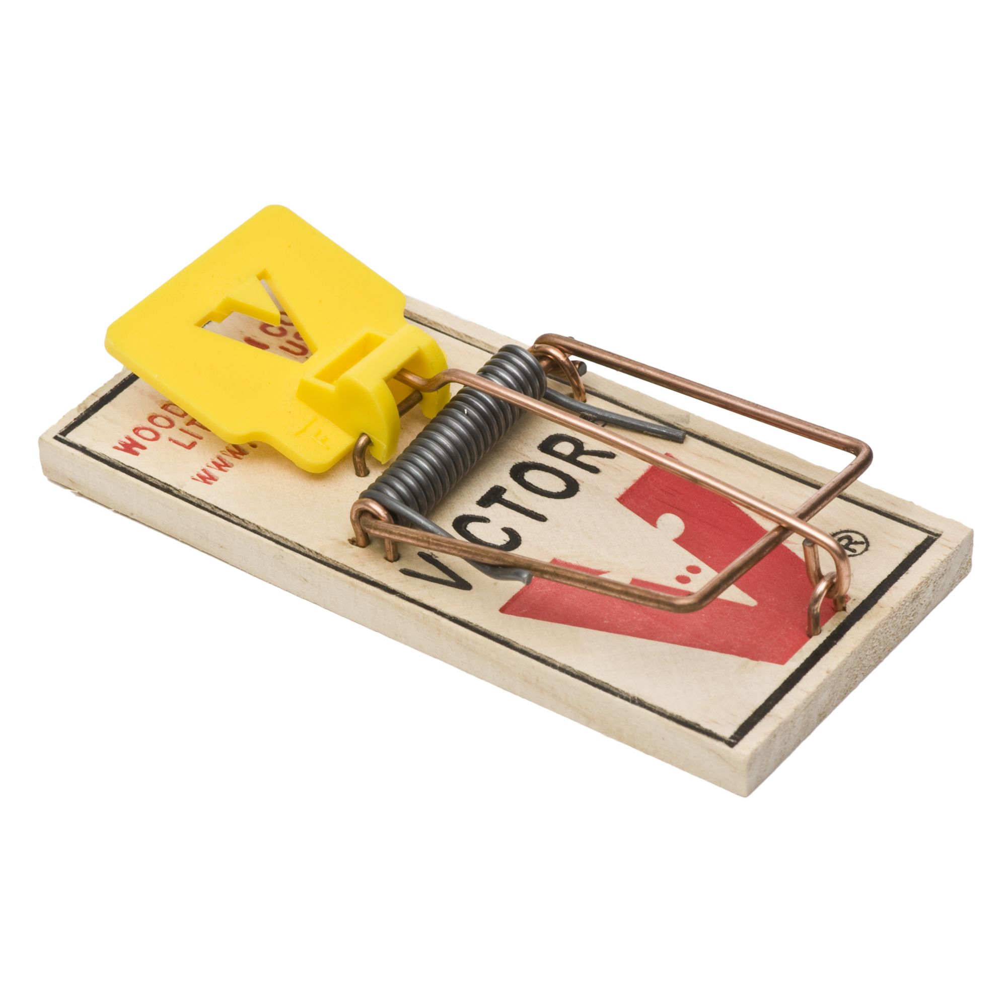 Case of Easy Set\u00ae Mouse Traps | Bulk Wooden Traps