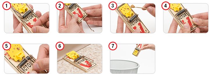 How To Set A Mouse Trap - Victor Snap Traps