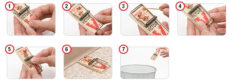 How to set a mouse guard shop trap