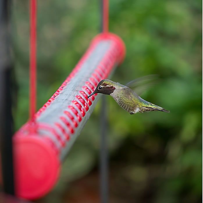 4 Ft Hummerbar Horizontal Hummingbird Feeder Perky Pet