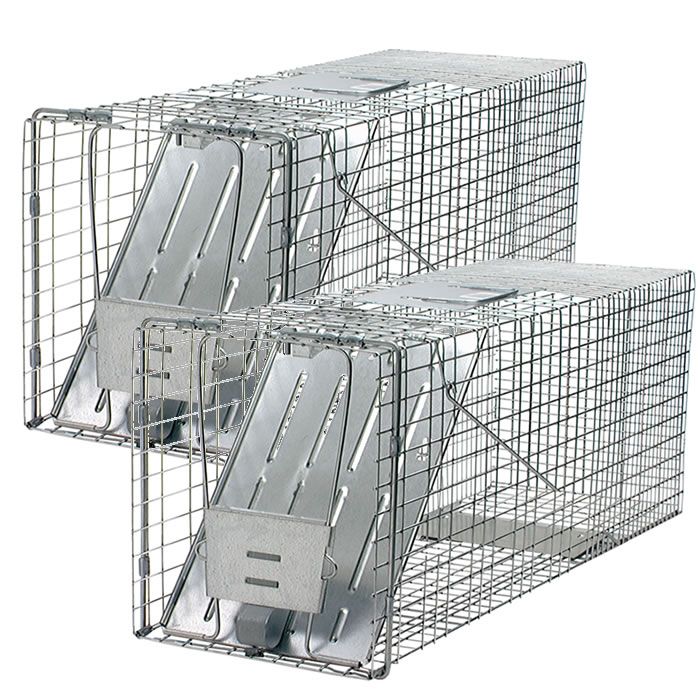 Havahart® Large 1-Door Animal Trap - 2 Pack