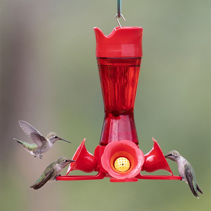 PerkyPet® PinchWaist Red Glass Hummingbird Feeder 203CPBR