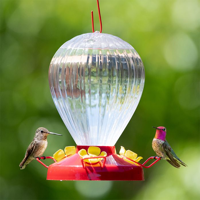 Perky-Pet® Fluted Balloon Plastic Hummingbird Feeder