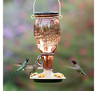 Woodstream Corp Glass Hummingbird Feeder Lavender