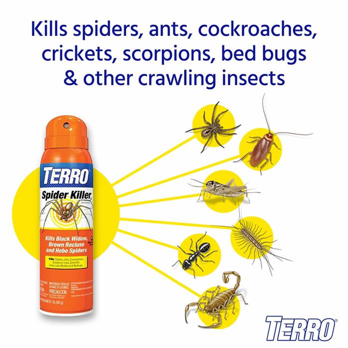 Terro Spider Killer Spray Our Best Spider Killer