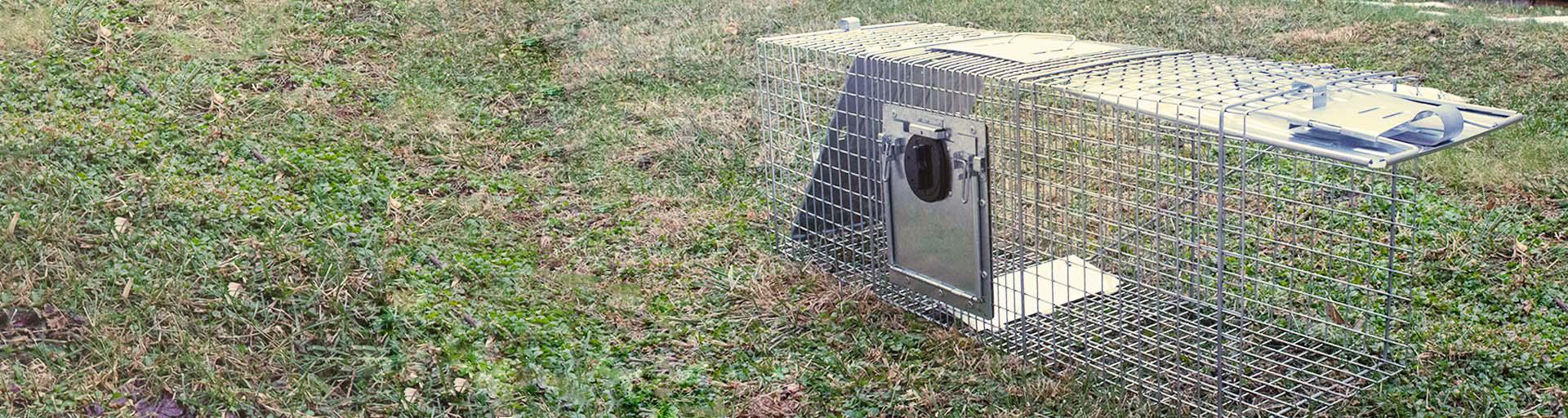 Havahart Safe-Release Cage Trap