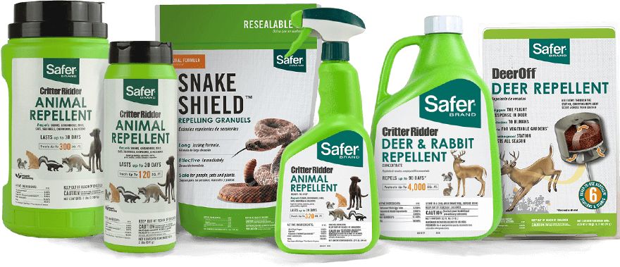 Safer Animal Repellents