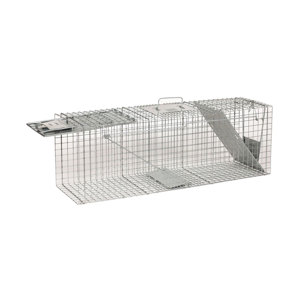 Easy to Use and Humane X-Large Animal Trap for Large Critters | Live Traps  for Cats, Racoons, Groundhogs, Opossums (36x10x12)