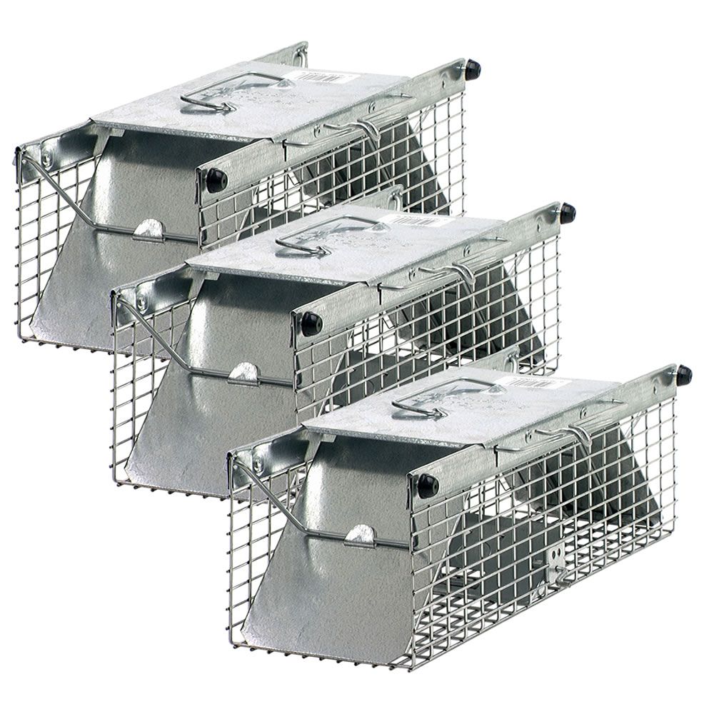 Small 2-Door Animal Trap - 3 Pack | Havahart