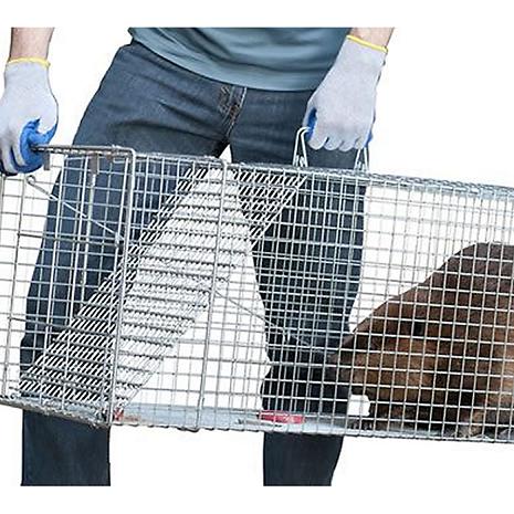 Extra Large 1-Door Live Animal Trap | Havahart® 1081