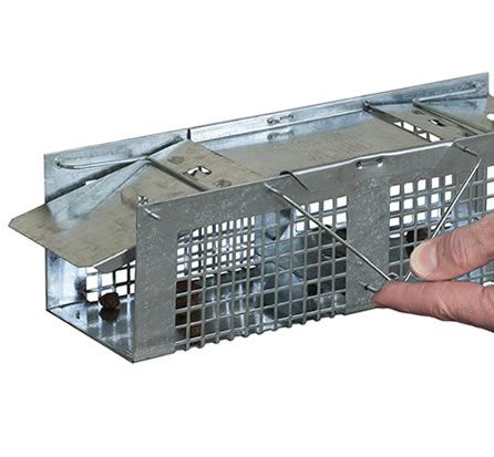 Havahart 1020 Animal Trap, 3 in W, 3 in H, Gravity-Action