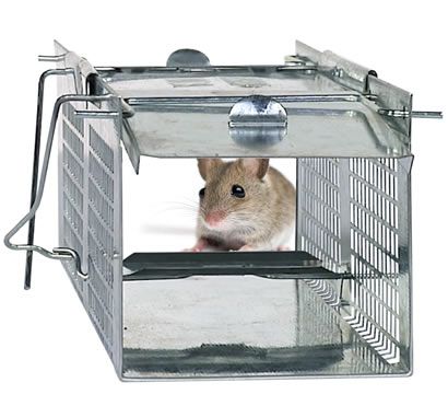 Havahart Galvanized Steel 24 In. 2-Door Medium Animal Trap - Henery Hardware