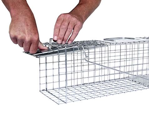 Havahart Squirrel Trap (18inx5inx5in)