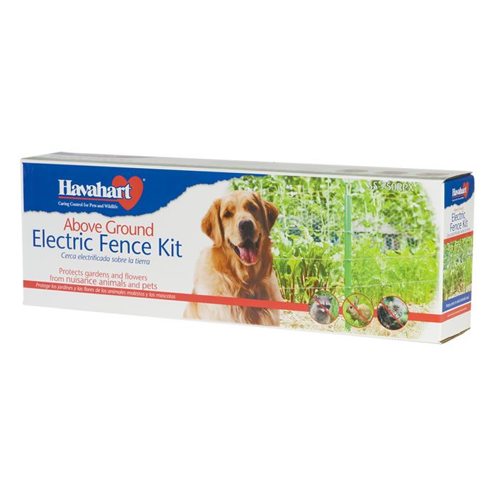 installing electric dog fence above ground