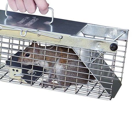 Small 2-Door Live Animal Trap | Havahart® 1025-B