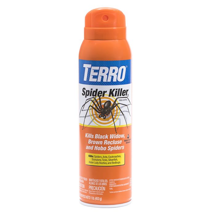 OP, you have my sword and Terro Spider Killer ® spray! 