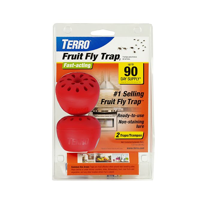 TERRO® Fruit Fly Trap - 6 Pack