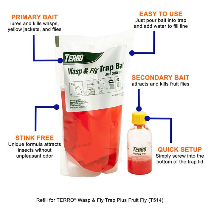 homemade fruit fly bait