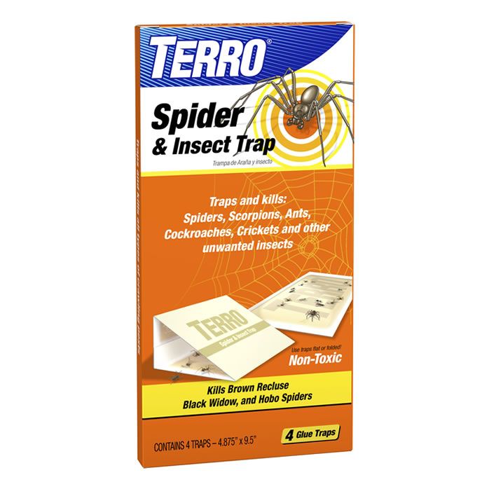 TERRO® Spider & Insect Trap | TERRO.com