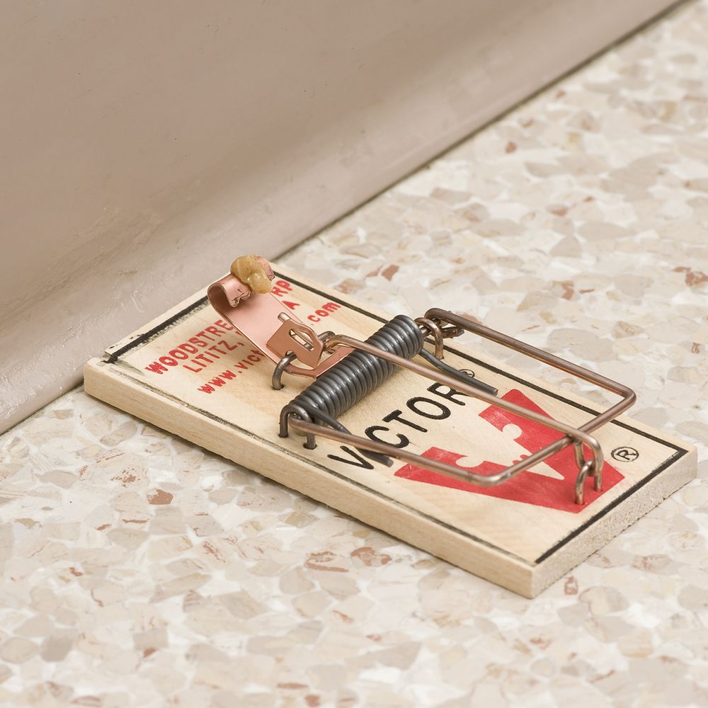 how to set a mousetrap