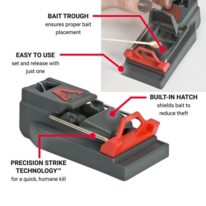 quick mouse trap