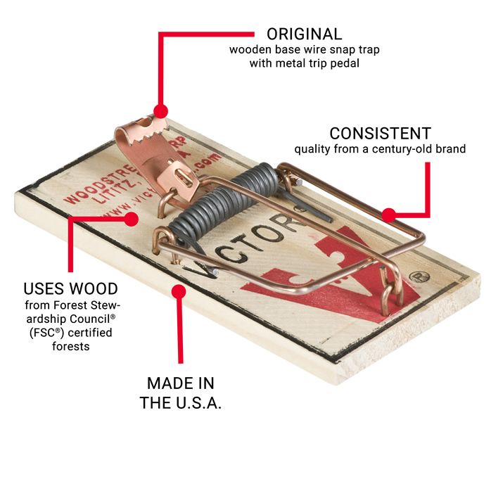 how a mouse trap works