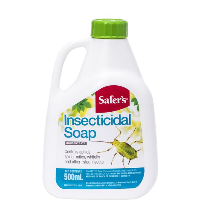 Safer S Insecticidal Soap Conc 500 Ml 01 2022can